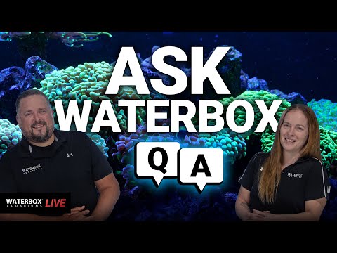 Ask us anything.  The Waterbox team is ready for a live Q&A. - Episode #191