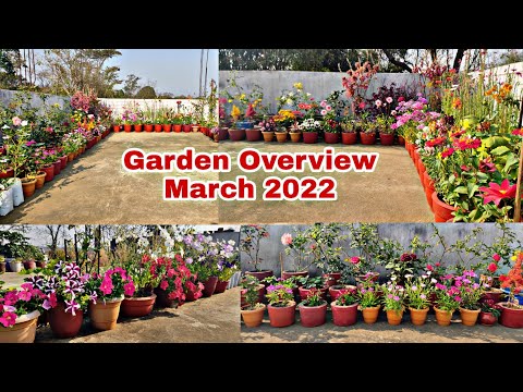 Garden Overview March 2022// Spring garden tour