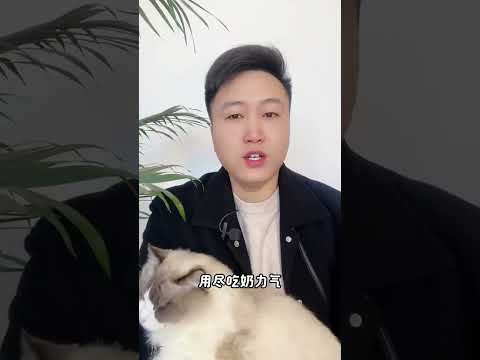 该换猫砂了，工厂直发，9块9，到手10斤，养猫经验分享 养猫人 猫砂 新手养猫 猫砂推荐