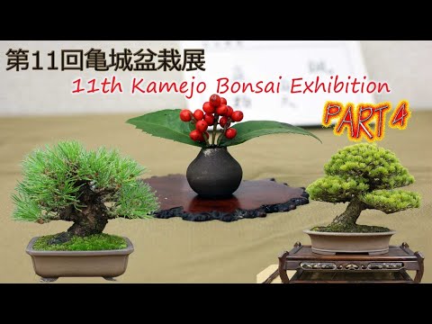 11th Kamejo Bonsai Exhibition - 第11回 亀城盆栽展 2022 January (PART 4)