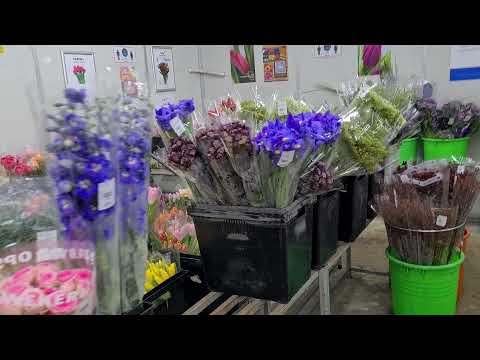 Far East Flora Cold room walkaround @ Upper Thomson