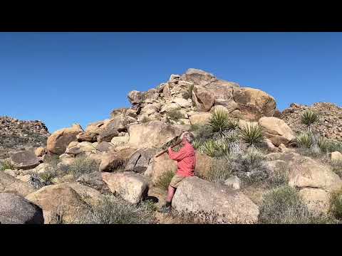 Joshua Tree 1, Randy “Windtalker” Motz, Native American Style Flute #nativeamericanstyleflute