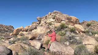 Joshua Tree 1, Randy “Windtalker” Motz, Native American Style Flute #nativeamericanstyleflute