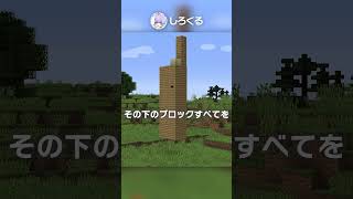 過去最悪の即死バグ？！【マイクラ豆知識 解説 裏技】