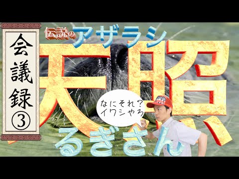 【③天照るぎさん編】イワシは自律分散型？楽しくみんなで作っていこう良い社会を。