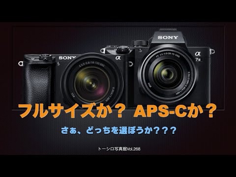 【さぁどっちを選ぼう？】フルサイズか？APS-Cか？