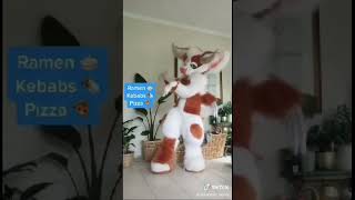 BEST Furry TikToks compilation 0352 #shorts #furrytiktok #furry #furrycompilation  #funnyvideo