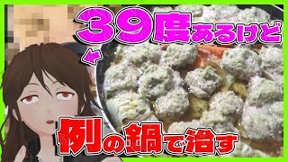 【1日外出録ハンチョウ】「長ネギと生姜たっぷりつみれ鍋」で39度の熱を下げようとした記録【625】