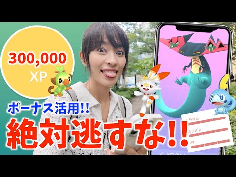 マックスアウトの経験値爆増ボーナスがやばすぎる！？ガラル御三家の悩ましい選択...と思ったらいきなり100降臨！？歩いていこう初日レポート！【ポケモンGO】