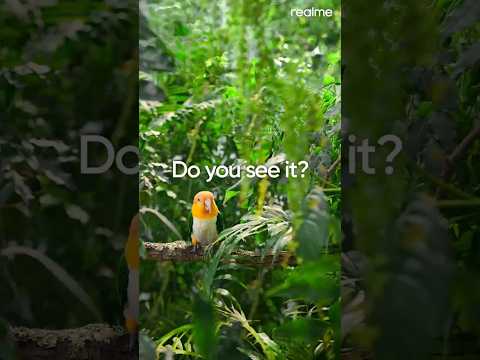 realme GT 7 Pro | Do You See It?