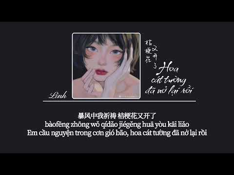 [Vietsub] Hoa cát tường đã nở lại rồi • Chấp Tố Hề ♪ 桔梗花又开了 • 执素兮