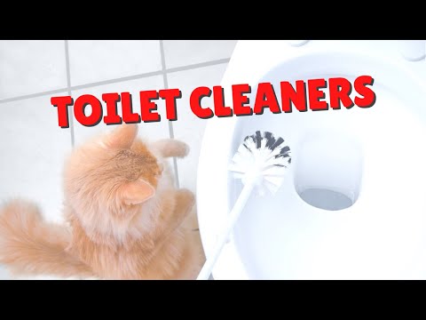 Toilet Bowl Cleaner & Cats | Two Crazy Cat Ladies