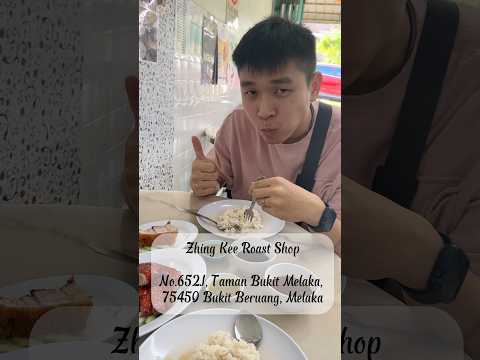 Best duck rice in Malacca！Zhing Kee Roast Shop #chickenandrice #malaccaduckrice