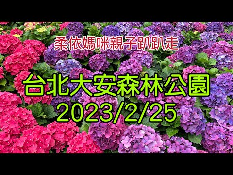 台北大安森林公園 2023/2/25