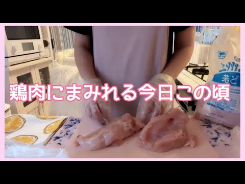 【お昼ごはん】鶏肉にまみれる今日この頃。