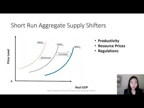 The Short Run Aggregate Supply Curve (2): Shifters