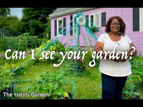 She turned her backyard into an Edible Landscape