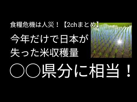 今年だけで日本は○○県分の米収穫量を失った！｜なぜ日本は食料危機に陥るのか？①【備蓄のすすめ】