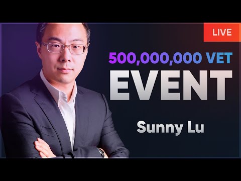 Sunny Lu: THE NEXT CRYPTO PLAY | Vechain HUGE News | VET Price Analysis | VTHO Token Update