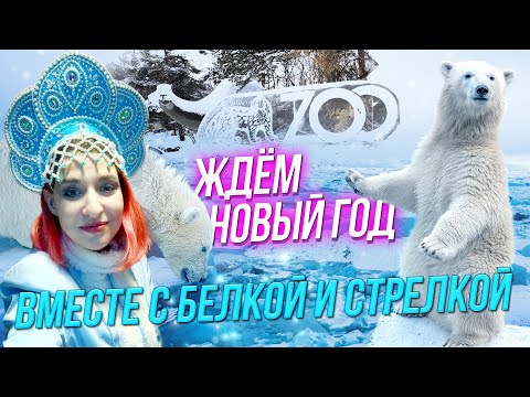 Каким будет Год Змеи? / Празднуем в зоопарке | СТРИМ ОТС LIVE — 25 декабря