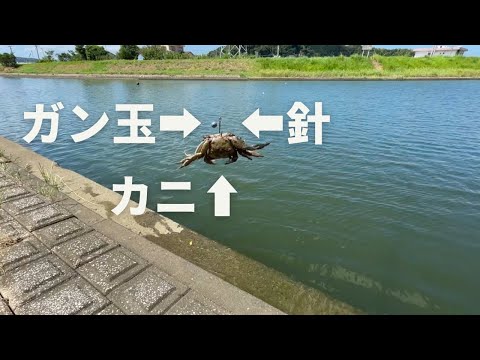 ガン玉と針だけでだれでもかんたんに黒鯛が釣れる釣り方【エサのカニは拾うので実質０円】