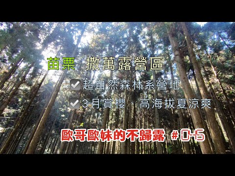 【親子露營】苗栗 撒萬露營區 超自然森林系營地 3月賞櫻高海拔夏涼爽《歐哥歐妹的不歸露 #45》