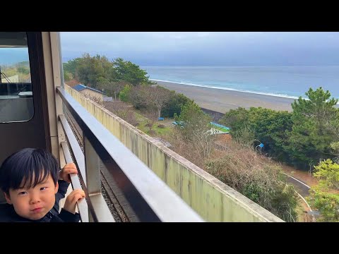 Take a sightseeing train with an open deck to see the Pacific Ocean up close.