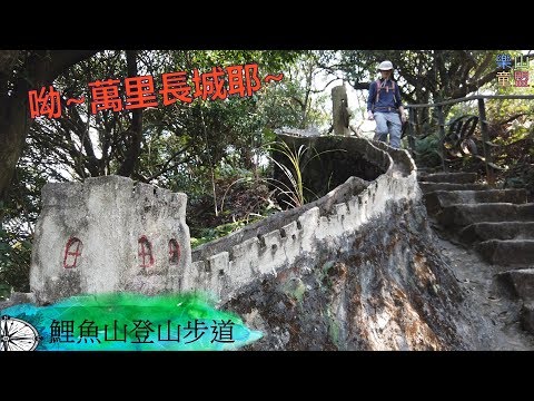 [台北內湖] 鯉魚山親山步道(大溝溪生態園區-鯉魚山東峰-鯉魚山-圓覺寺) / Liyu Mountain Trail