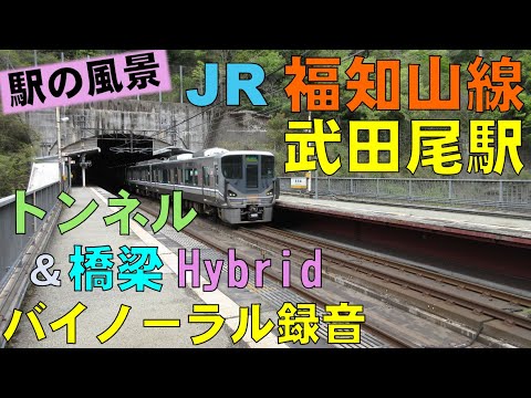 【バイノーラル録音】福知山線/武田尾駅/トンネル＆橋梁Hybrid/駅の風景/Fukuchiyama Line/Takedao Station/Hyogo, Japan