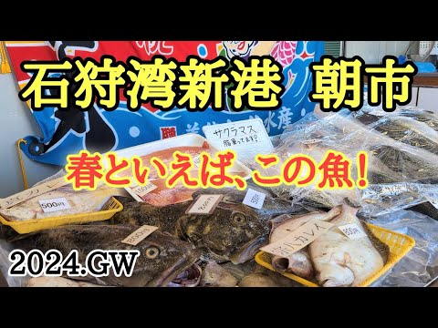 【北海道】石狩湾新港朝市で新鮮な魚介探し🐟旬の魚が破格で買えた！？