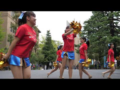 早稲田文化芸術週間2018 You Can’t Stop the Beat 早稲田大学チアダンスサークルMYNX