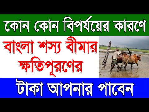 কোন কোন প্রাকৃতিক বিপর্যয়ের কারণে শস্য বীমার টাকা পাবেন | West Bengal Bangla Shyasa Bima 2024