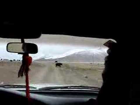 Road to Kailash and Guge #27 - More driving on bad roads