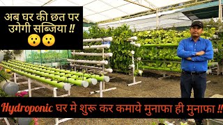 Hydroponic घर में शुरू कर कमाये मुनाफा ही मुनाफा | Soil Less Farming | Kitchen Garden | Hello Kisaan