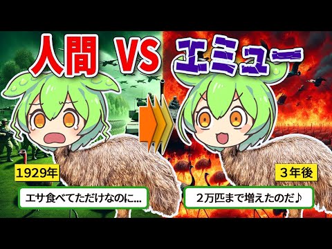 【実話】鳥と人類が本気で戦争した結果がヤバすぎた【ずんだもん＆ゆっくり解説】