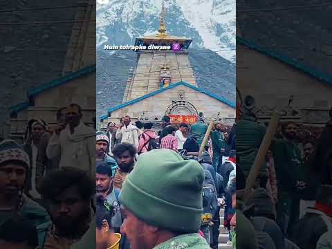 jay Baba kedarnath ♥️ mhadev,#kedarnath #kedarnathtemple #mahadev #bholenath #shorts #ytshort