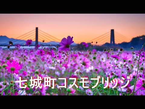 【七城町コスモブリッジ】4K