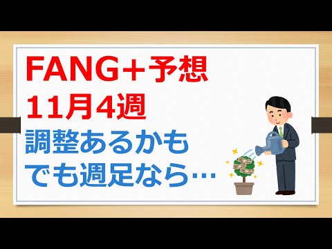 FANG+予想、11月４週、調整あるかも、でも週足なら・・・【有村ポウの資産運用】241117