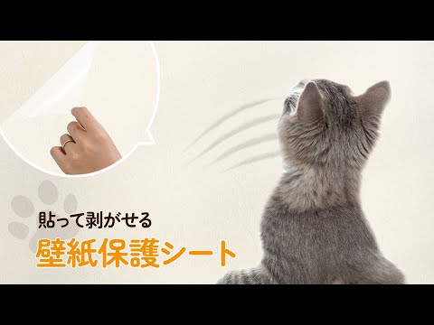 【壁紙保護シート】の広告動画