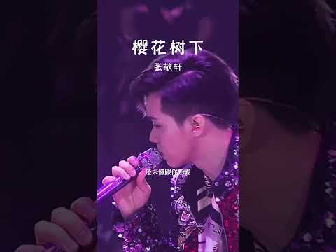 #经典粤语歌曲 #樱花树下