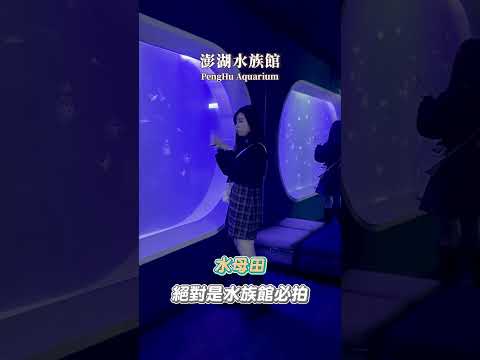 可樂旅遊｜澎湖水族館🦈超推薦的室內景點！彷彿置身亞特蘭提斯✨一起來探索海洋世界吧⚓