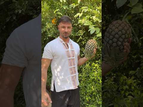 In Thailand we don’t say pineapple #reels #viral #youtubeshorts #like #pineapple