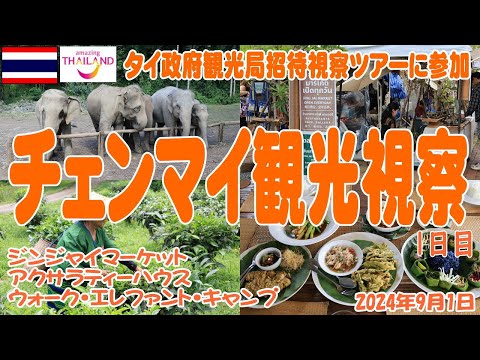 チェンマイの新名所視察 ジンジャイマーケット、アクサラティーハウス、エレファントサンクチュアリー Jinjai Market, Araksa Tea house, Elephant