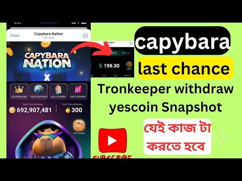 Capybara last chance to submit wallet || Tronkeeper 1days left to withdraw tonarx ||yescoin snapsot