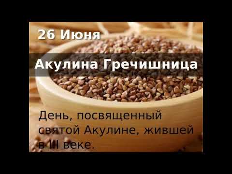 26 июня Акулина Гречишница