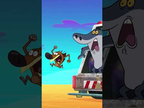 Marina in the washing machine #Zigandsharko Zig & Sharko | Cartoon for kids