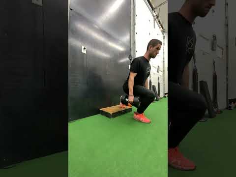 DB RFE Kickstand Split Squat