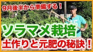 家庭菜園や農園のソラマメ栽培は9月後半から準備！元肥を使った土作りとそら豆の育て方！【農家直伝】Tips for preparing soil for cultivating fava beans.