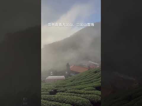 雲林嘉義大尖山，二尖山雲海