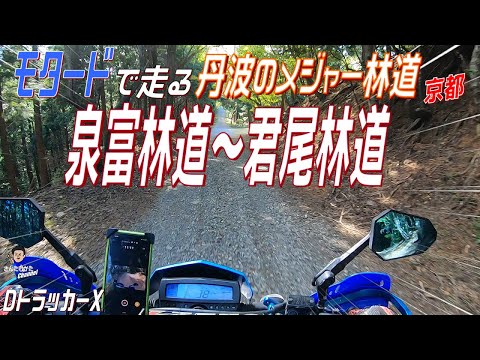 【DトラッカーX #172】モタードで走る京都丹波のメジャー林道 泉富林道&君尾林道　楽しく走れるロングダート【京都】【福井】【日帰りツーリング】